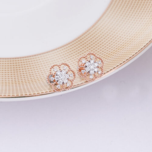 Gilded Sparkle Earring